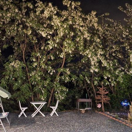Cabana Oprisor オクナ・シビウルイ エクステリア 写真